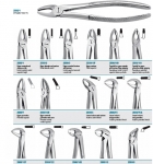 Tooth forceps